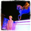 Godiva 7.jpg