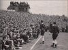 1967-wolves-crowd-w400.jpg