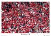 liverpool-fans-poster.jpg