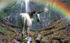 unicorn.jpg unicorn.jpg