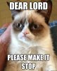 cat.jpg