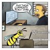 computers-comments-bee-sting-hornets-wasps-nfkn2331_low.jpg