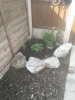 IMG_20200811_163345.jpg