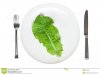 single-lettuce-leaf-plate-5822335.jpg