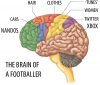 afootballersbrain.jpg