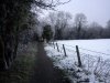 DSC00215.jpg
