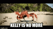 kelly.gif