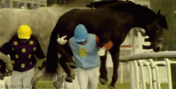 F5F64C40-BB5B-466B-A01B-938318649ECB.gif