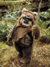 Wicket_W_Warrick.png