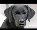 Screenshot_20240707-160217.png