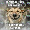 stoner-dog-jesus-backwards1.jpg