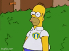 1738777962494.gif