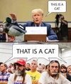 image.png.81c6c42b7e98a8b43ce93de0398c52f4.png