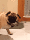 X8lpsy3YBcIJW.gif