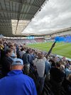 IMG_4375.jpeg