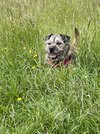 IMG_6590.jpeg