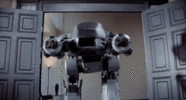 1000017448.gif