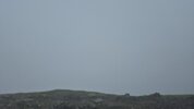IMG-20250628-WA0014.jpeg