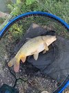 IMG_4159.jpeg