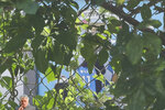 IMG_9757.jpeg