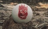 tom-hanks-wilson-2649847457.jpg
