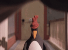 IMG_5437.gif