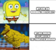 1756374266548.png