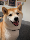 1759684305838.png