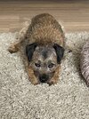 IMG_5791.jpeg
