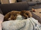 IMG_1325.jpeg