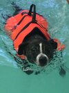 IMG_0470.jpeg