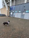 IMG_0230.jpeg