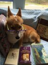 tryst-reads-shakespeare.jpg