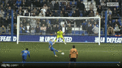 a9hodw.gif