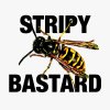 stripy bastard.jpg