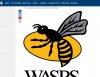 wasps.JPG