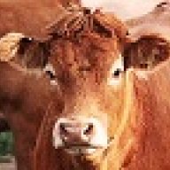 BrownCow