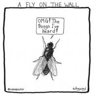Fly_On_The_Wall