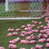 PlasticPigsAtTheValley