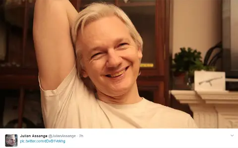assange-tweet2-medium.png