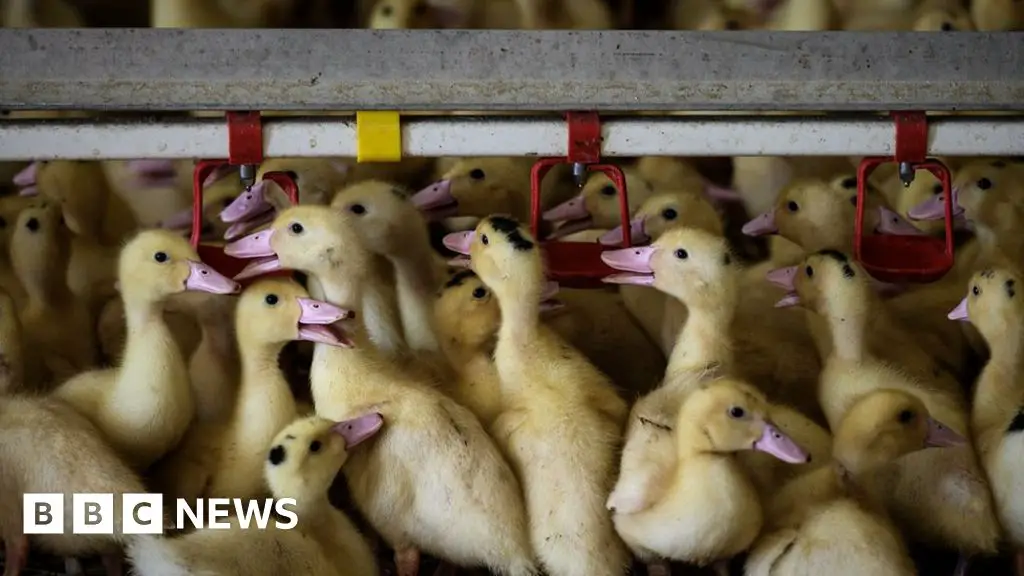 www.bbc.co.uk