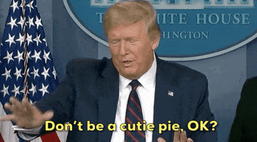 Donald Trump GIF by GIPHY News