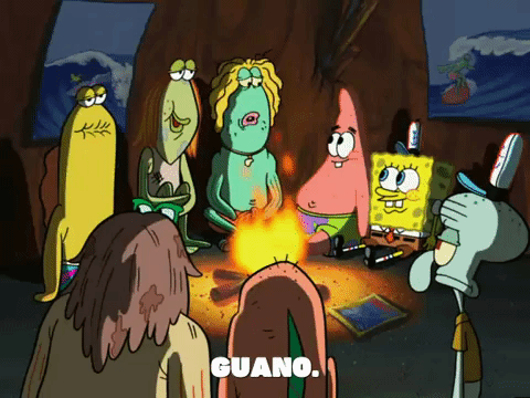 giphy.gif