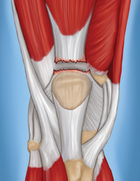 www.sportsmd.com
