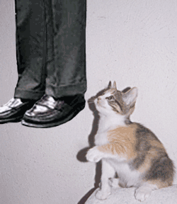 ATT00004.gif