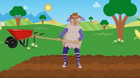 giphy.gif