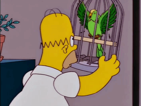 0fd8b1d4c74e9513b01f75b73cc9441e.gif