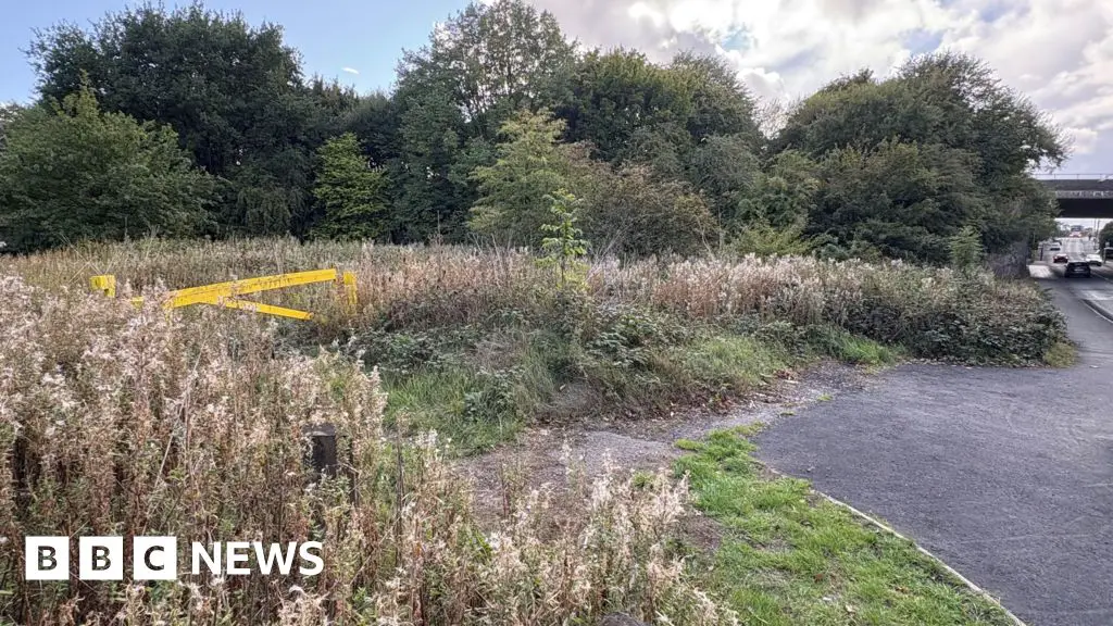 www-bbc-co-uk.cdn.ampproject.org