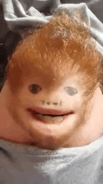 giphy.gif