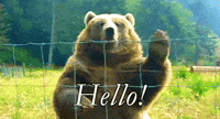200w.gif